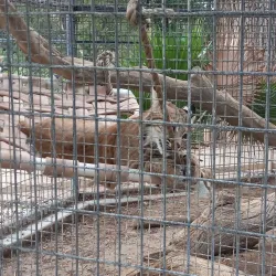 Alameda Park Zoo - Alamogordo