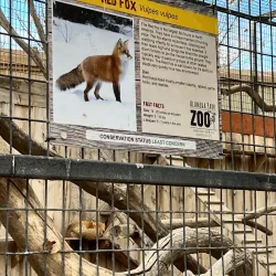 Alameda Park Zoo - Alamogordo