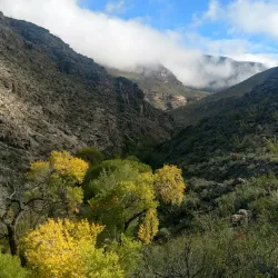 Oliver Lee Memorial State Park - Alamogordo