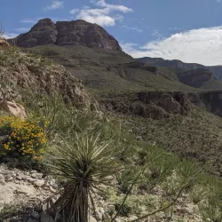 Oliver Lee Memorial State Park - Alamogordo