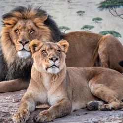 ABQ BioPark - Albuquerque