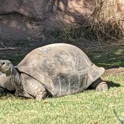 ABQ BioPark - Albuquerque
