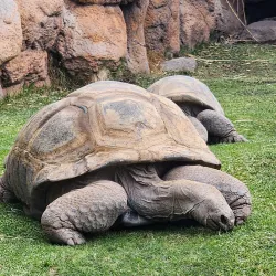 ABQ BioPark - Albuquerque