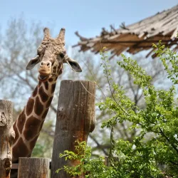 ABQ BioPark - Albuquerque