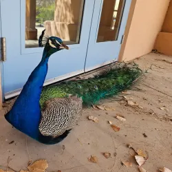 ABQ BioPark - Albuquerque