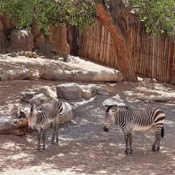 ABQ BioPark - Albuquerque