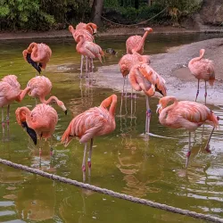 ABQ BioPark - Albuquerque