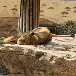 ABQ BioPark - Albuquerque