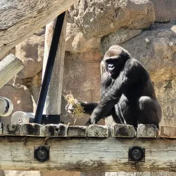 ABQ BioPark - Albuquerque