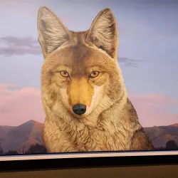 Albuquerque Museum - Albuquerque