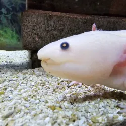 Explora Science Center and Children's Museum - Albuquerque