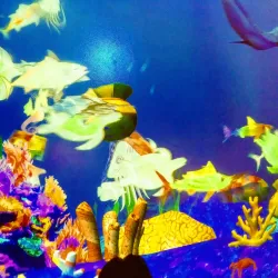 Explora Science Center and Children's Museum - Albuquerque