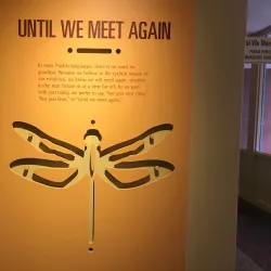 Indian Pueblo Cultural Center - Albuquerque