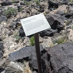 Petroglyph National Monument - Albuquerque