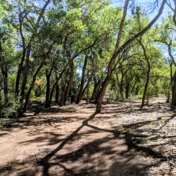 Tingley Beach - Albuquerque