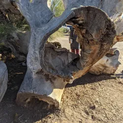 Tingley Beach - Albuquerque