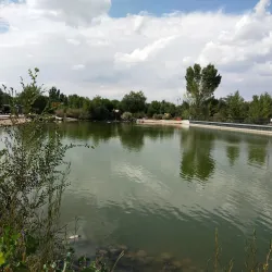 Tingley Beach - Albuquerque