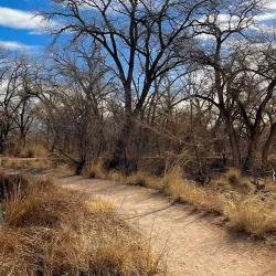 Tingley Beach - Albuquerque