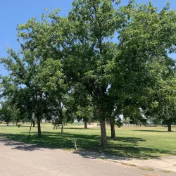 Artesia City Park - Artesia