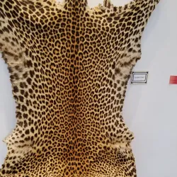 Artesia Depot Museum - Artesia