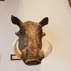 Artesia Depot Museum - Artesia