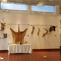 Artesia Historical Museum - Artesia