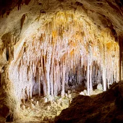 Carlsbad Caverns National Park (nearby) - Artesia