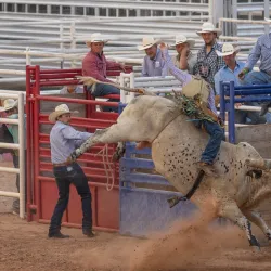 Eddy County Fairgrounds - Artesia