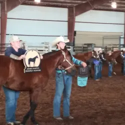 Eddy County Fairgrounds - Artesia