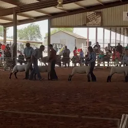 Eddy County Fairgrounds - Artesia