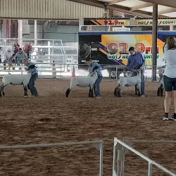 Eddy County Fairgrounds - Artesia