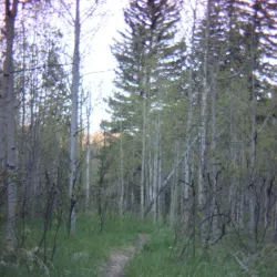 Pecos River Trail - Artesia