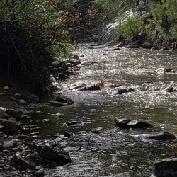 Pecos River Trail - Artesia