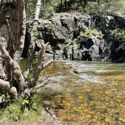 Pecos River Trail - Artesia