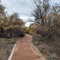 Rio Bosque Wetlands Park - Chaparral