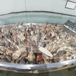 Blackwater Draw Museum and Archaeological Site - Clovis