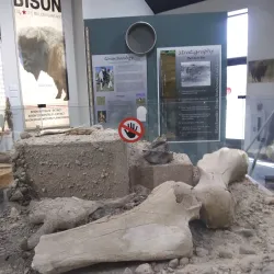 Blackwater Draw Museum and Archaeological Site - Clovis