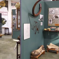 Blackwater Draw Museum and Archaeological Site - Clovis