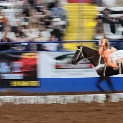 Curry County Historical Museum - Clovis