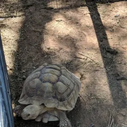 Hillcrest Park Zoo - Clovis
