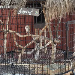 Hillcrest Park Zoo - Clovis