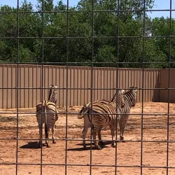 Hillcrest Park Zoo - Clovis