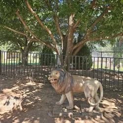 Hillcrest Park Zoo - Clovis