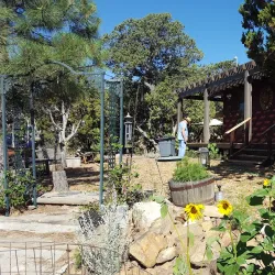 Cedar Crest - Edgewood