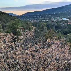 Cedar Crest - Edgewood