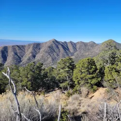 Cibola National Forest - Edgewood