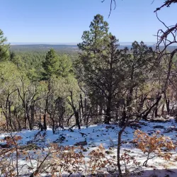 Cibola National Forest - Edgewood