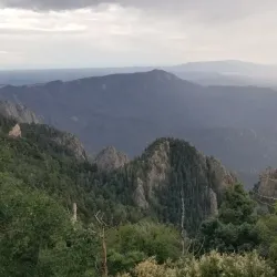 Cibola National Forest - Edgewood