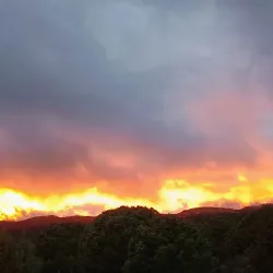 Cibola National Forest - Edgewood