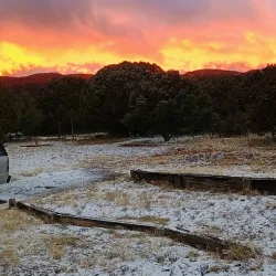 Cibola National Forest - Edgewood